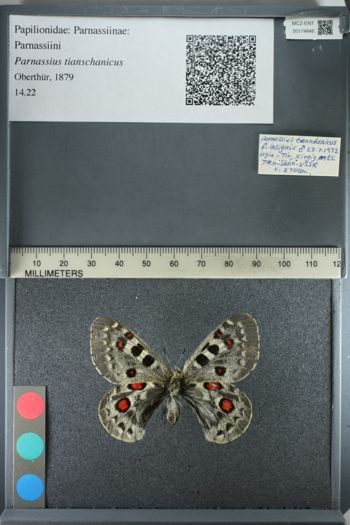 Media type: image;   Entomology 174846